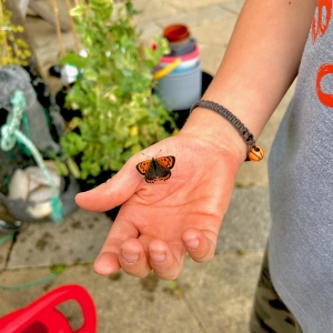 Meee Moments #75 – Fall!