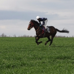 Aspiring Jockey gallops towards his dream job.